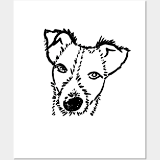 Jack Russell Terrier Posters and Art